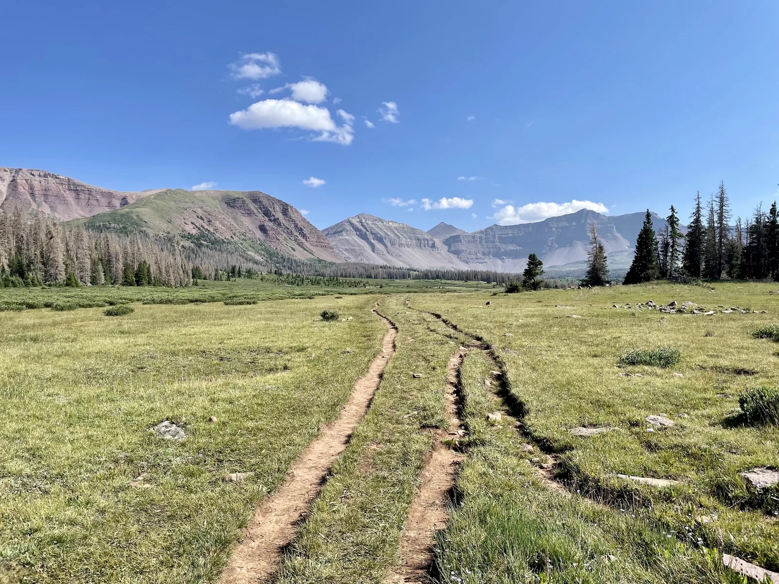 Kings Peak summit landscape