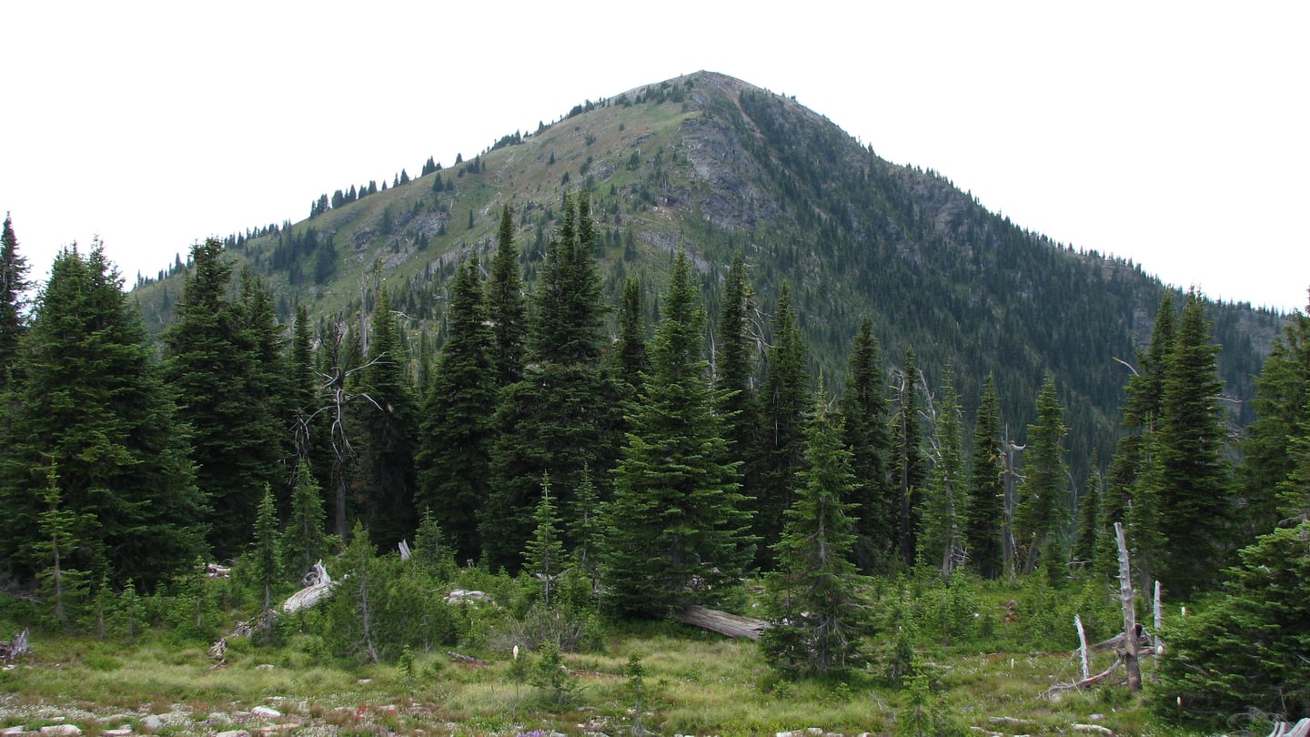 Abercrombie Mountain summit landscape