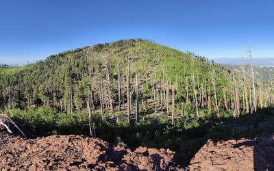 Chiricahua Peak