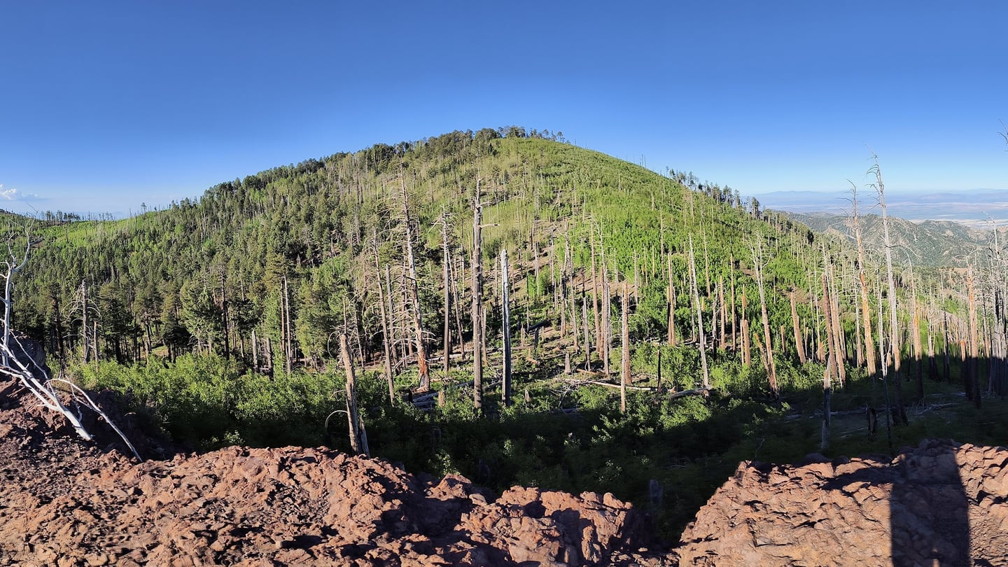 Chiricahua Peak summit landscape
