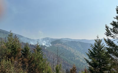 Miller Peak