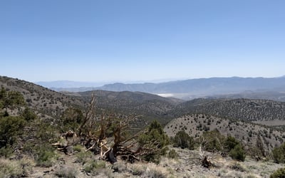 White Mountain Peak
